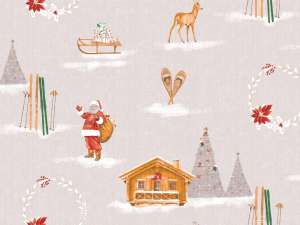 NSA30 HIVER D'antant